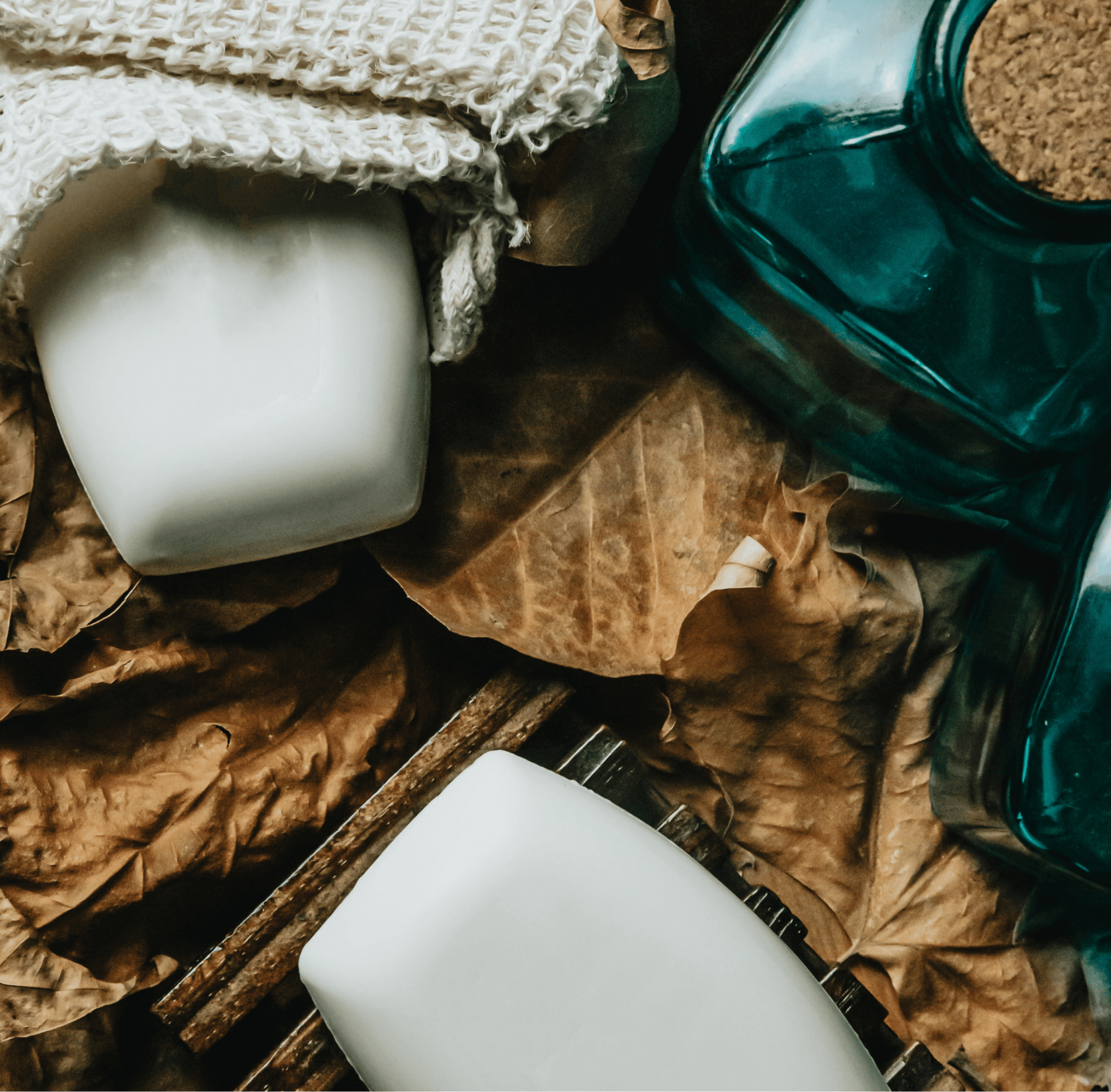 (Sample) Coconut Bar Soap - TrendNest