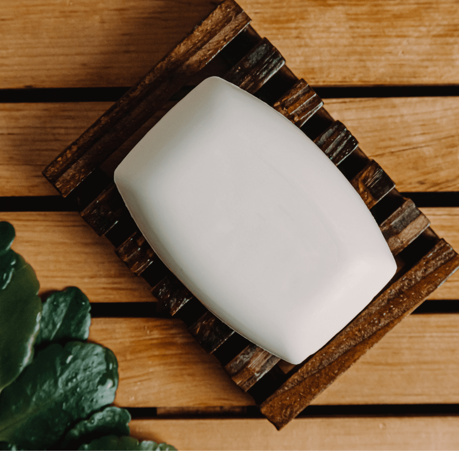 (Sample) Coconut Bar Soap - TrendNest